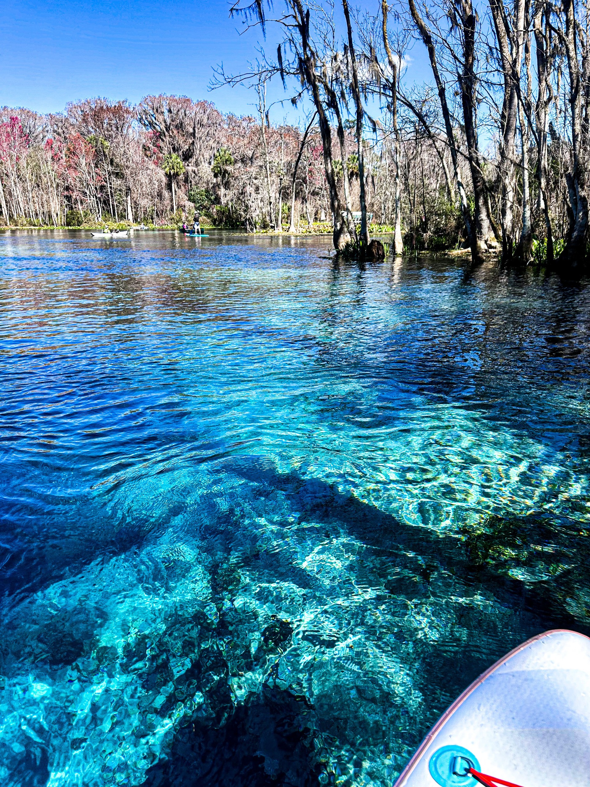 Beautiful Florida Springs by paddle board